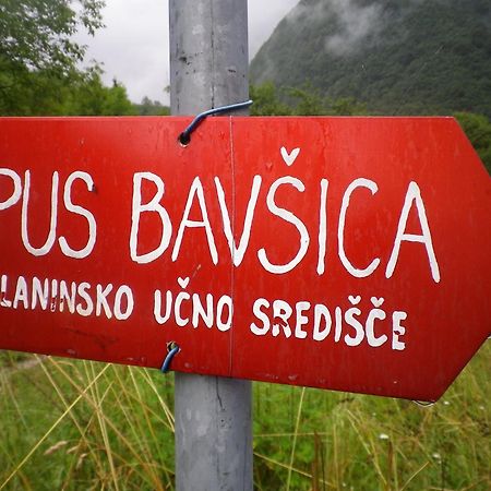 Pus Bavsica Vandrerhjem Log pod Mangartom Eksteriør bilde